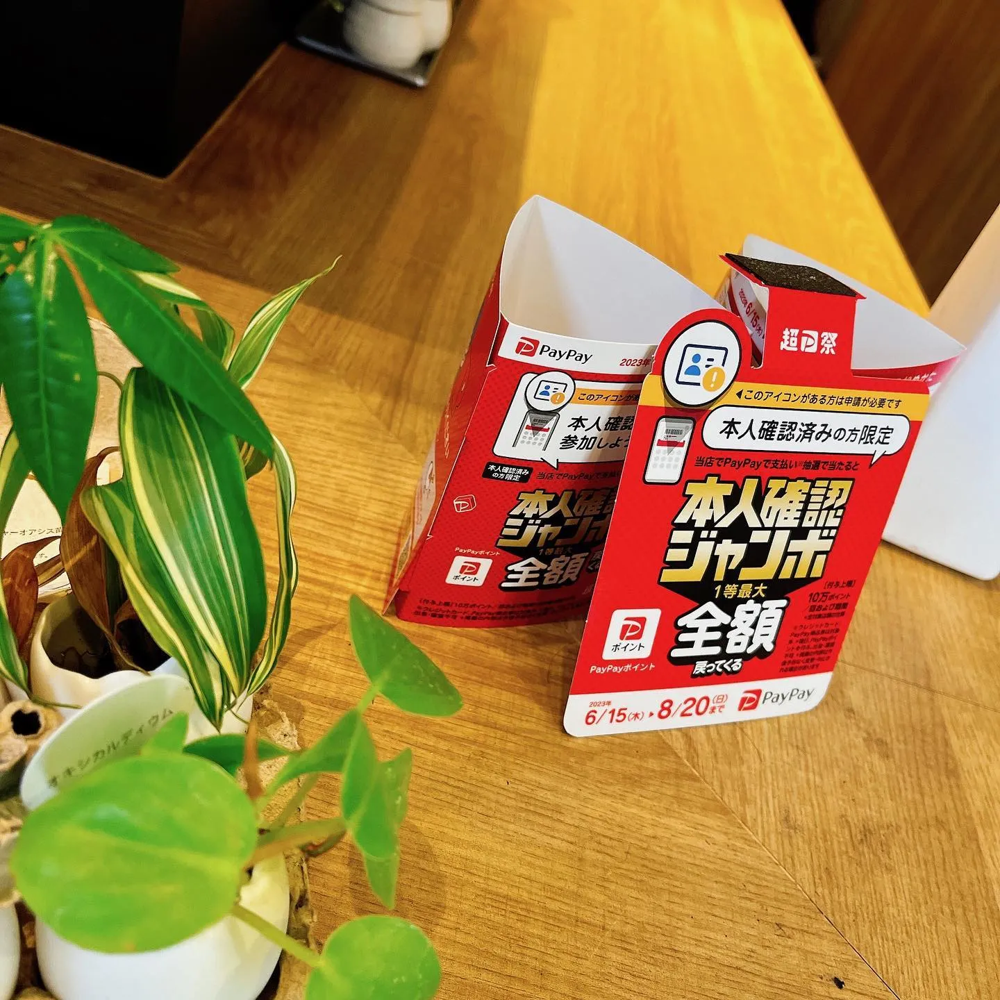 こんにちは🌞🌞😃